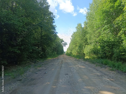 Road in forest in Siauliai county during sunny summer day. Oak and birch tree woodland. Sunny day with white clouds in blue sky. Bushes are growing in woods. Sandy road. Nature. Summer season. Miskas.