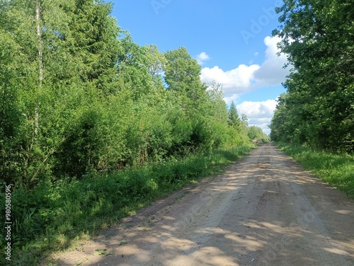 Road in forest in Siauliai county during sunny summer day. Oak and birch tree woodland. Sunny day with white clouds in blue sky. Bushes are growing in woods. Sandy road. Nature. Summer season. Miskas.