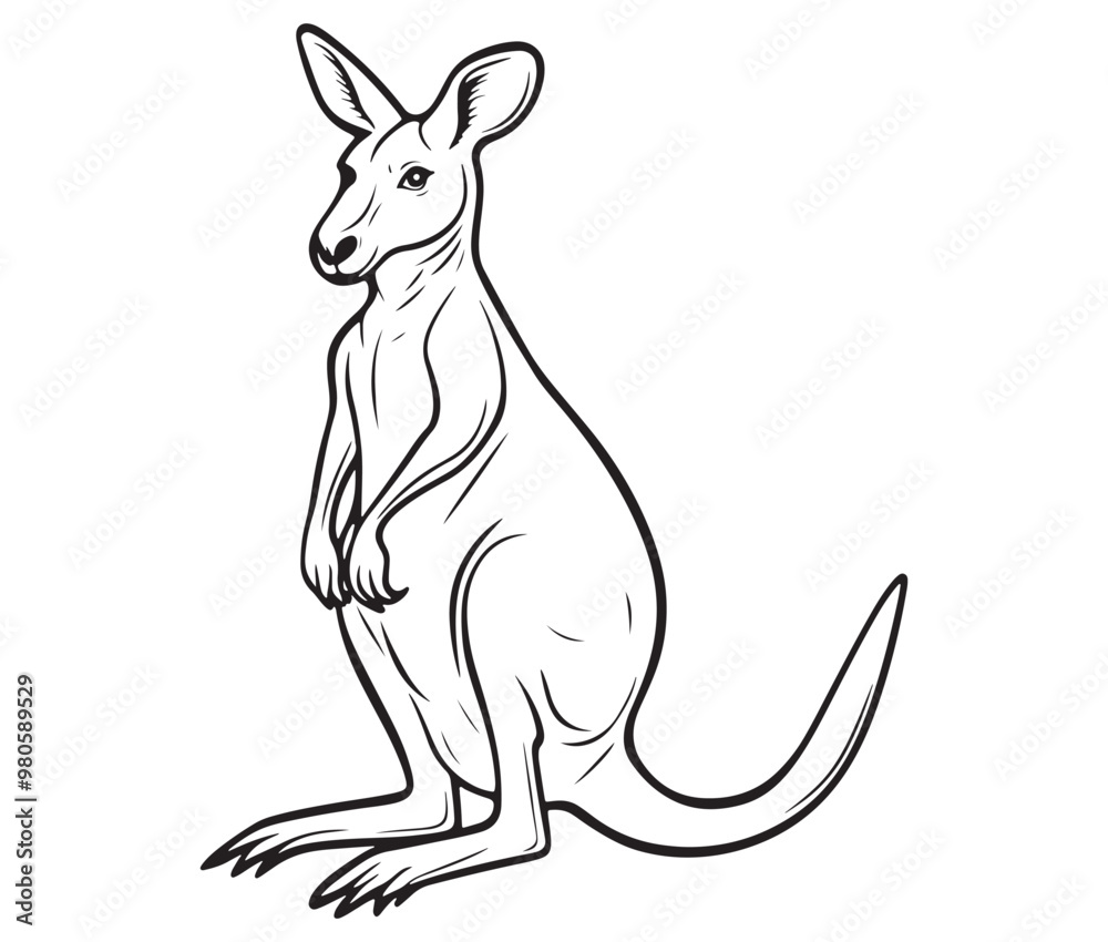 Cartoon kangaroo illustration vector Cartoon kangaroo illustration vector
