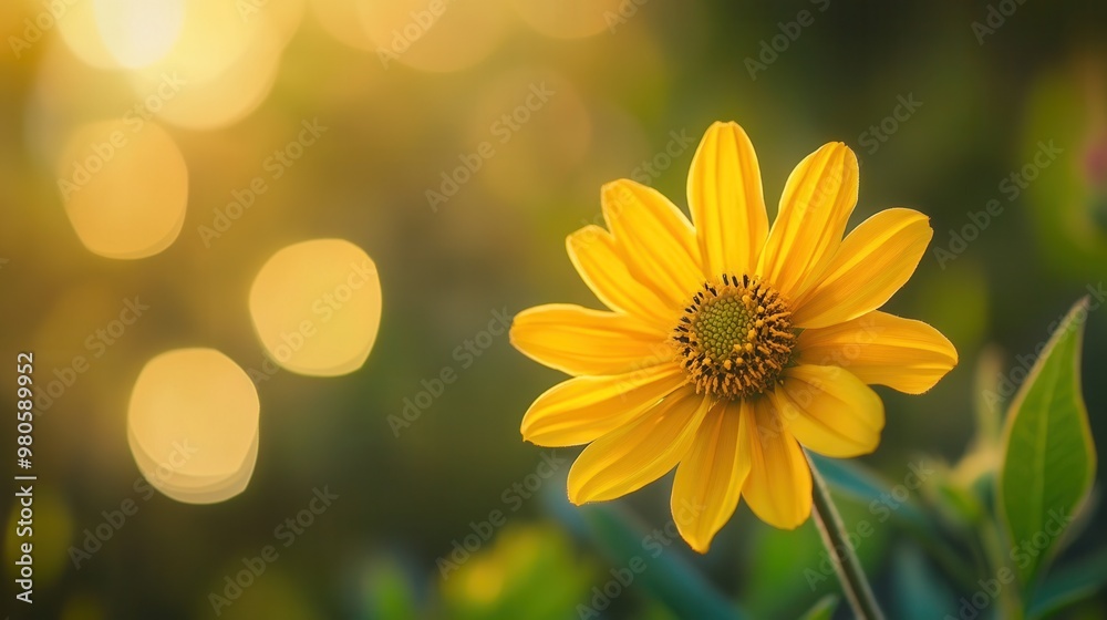 Bright Yellow Flower Surrounded by Nature's Bokeh Bright Yellow Flower Surrounded by Nature's Bokeh