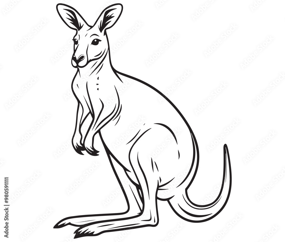 Cartoon kangaroo illustration vector Cartoon kangaroo illustration vector