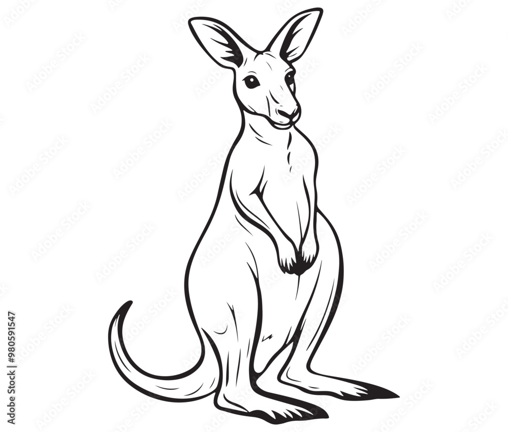 Obraz premium Cartoon kangaroo illustration vector