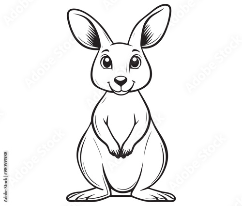  Cartoon kangaroo illustration vector