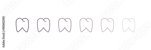 molar outline icon. Linear vector from medical concept. 6 different line style molar icon included thin, light, regular, medium, bold, black