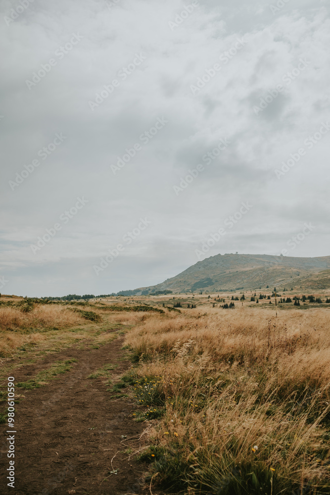 Fototapeta premium landscape with clouds and hills