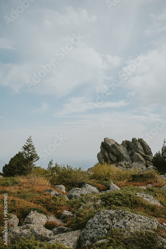 rocks on the coast