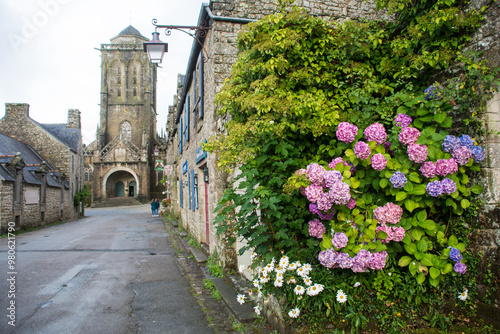 Beautiful hydrangea flowers in The village of Locronan, Bretagne, France photo