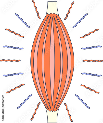 Stylized muscle with tension lines indicating muscle strain or relief.