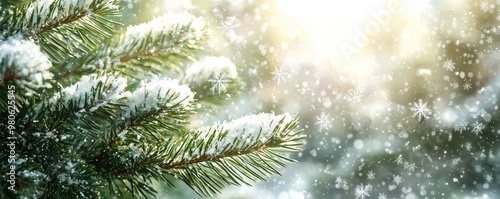 A serene winter scene featuring evergreen fir branches blanketed in snow, with the delicate snowflakes creating a soft, white layer over the dark green needles, evoking a sense of peace and seasonal