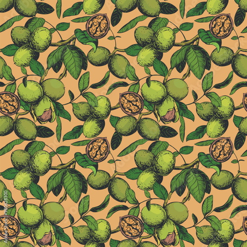 Seamless pattern with hand drawn walnuts. Branch with leaves and ripe nuts. Vector illustration in color engraving technique for nut paste, oil, liqueur Nocino. For packaging design. Ink sketch.
