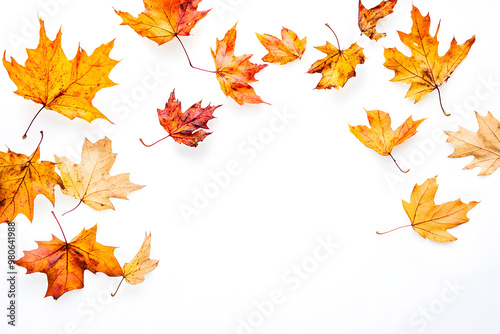 Autumn maple leaves falling isolated on white background	