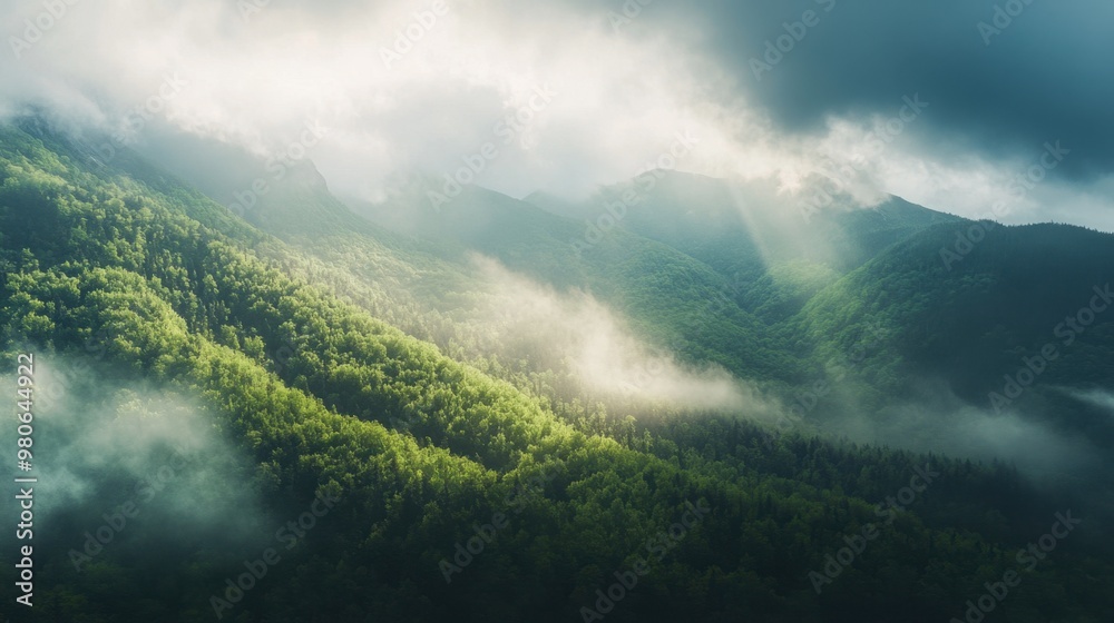 Low-lying clouds gently covering a forested mountain range, with patches of sunlight breaking through. Low-lying clouds gently covering a forested mountain range, with patches of sunlight breaking through.