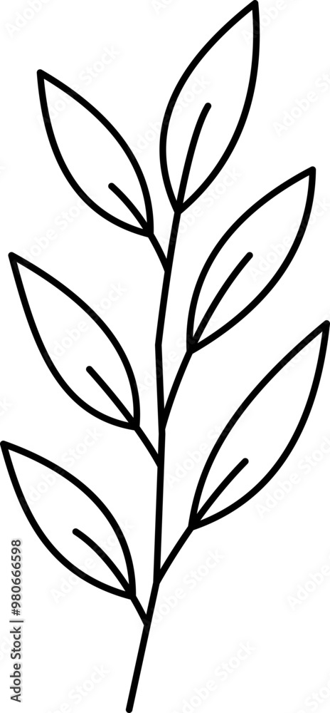 Hand drawn leaves outline illustration Hand drawn leaves outline illustration