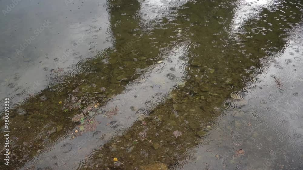 Autumn background. Raindrops on the surface of the water Autumn background. Raindrops on the surface of the water