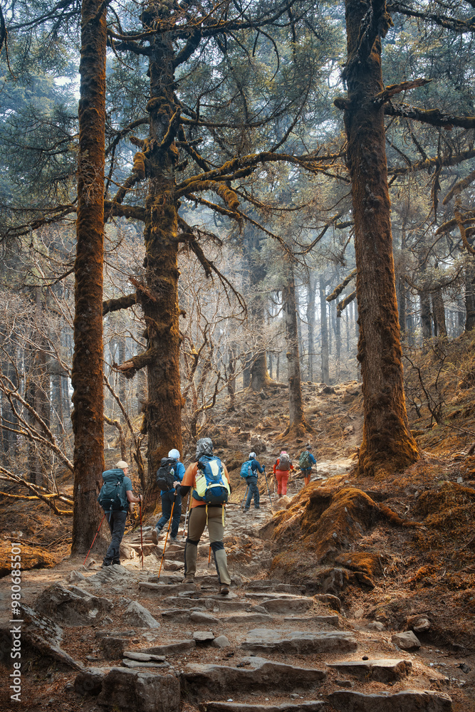 Group of tourists with backpacks walks along mountain path through beautiful forest during trek in Himalayas, Nepal. Group of tourists with backpacks walks along mountain path through beautiful forest during trek in Himalayas, Nepal.