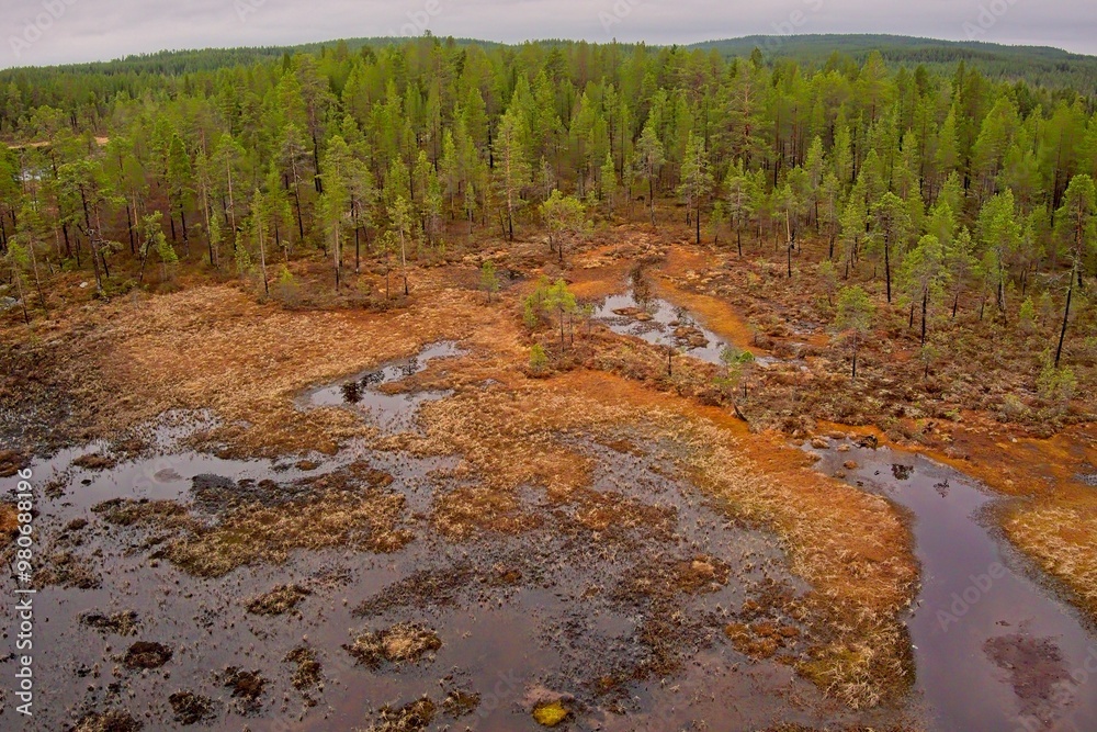 Aerial view of bog view at Ovre Pasvik National Park on a cloudy spring day, Norway. Aerial view of bog view at Ovre Pasvik National Park on a cloudy spring day, Norway.