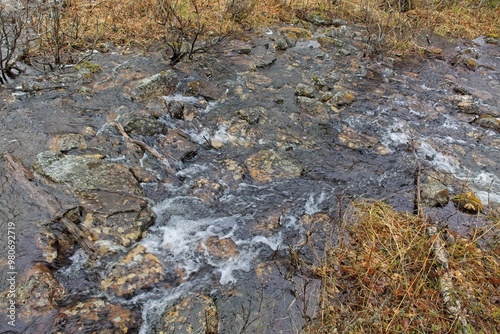 Small stream view at Ovre Pasvik National Park on a cloudy spring day, Norway. photo