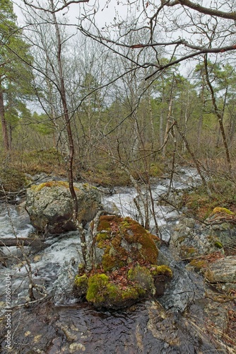 Small stream view at Ovre Pasvik National Park on a cloudy spring day, Norway. photo