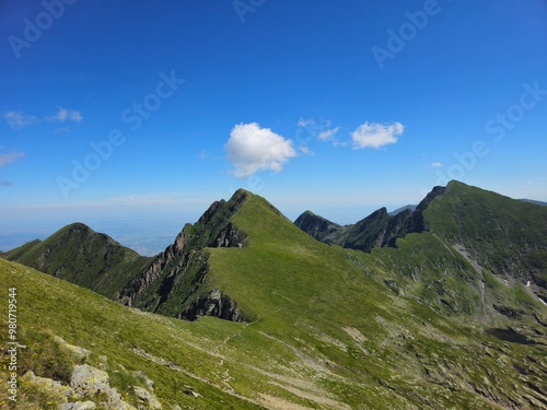 mountain landscape in summer