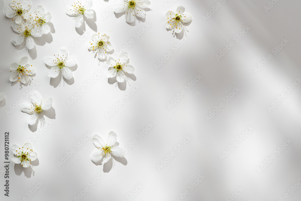 Delicate White Flowers Arranged Artistically on Light Background During Soft Afternoon Light Delicate White Flowers Arranged Artistically on Light Background During Soft Afternoon Light