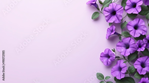 A Beautiful Minimalist Background Featuring Delicate Purple Petunias for Floral Designs and Presentations