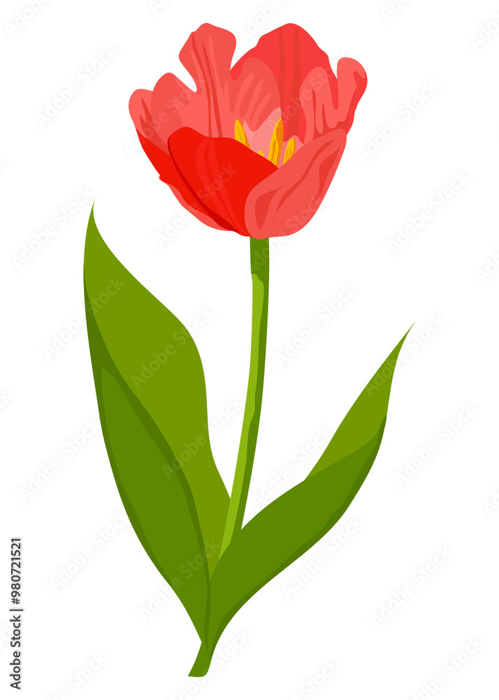 Blooming tulip png sticker, red flower illustration on transparent background Blooming tulip png sticker, red flower illustration on transparent background