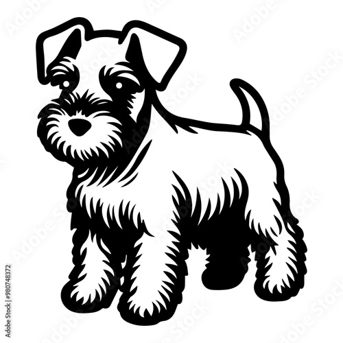 schnauzer