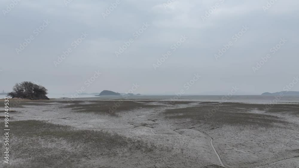 강화도 황산도갯벌 강화도 황산도갯벌