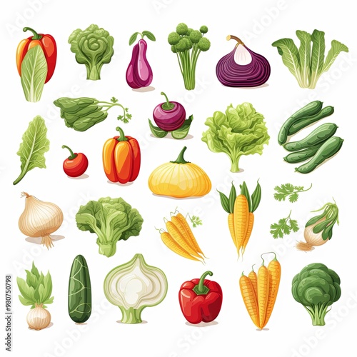 Set of vegetable on white background.