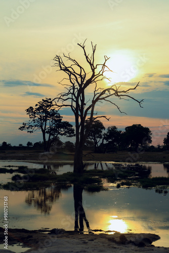 Sunset reflections on tranquil waters in Hwange National Park, Zimbabwe, showcasing silhouetted trees and serene nature