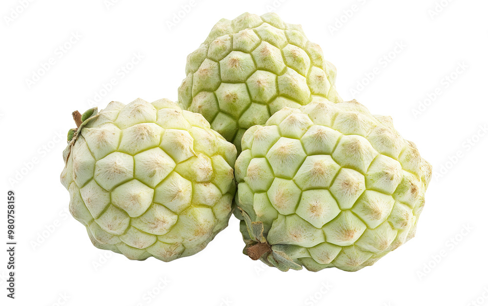 Fresh Custard Apple isolated on white or transparent background Fresh Custard Apple isolated on white or transparent background