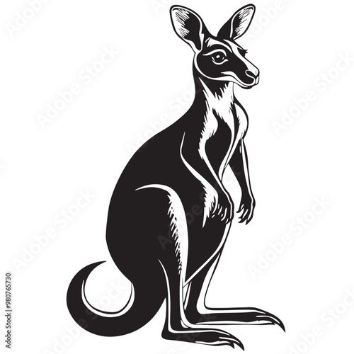 Kangaroo Silhouettes and Illustrations, A Complete Collection