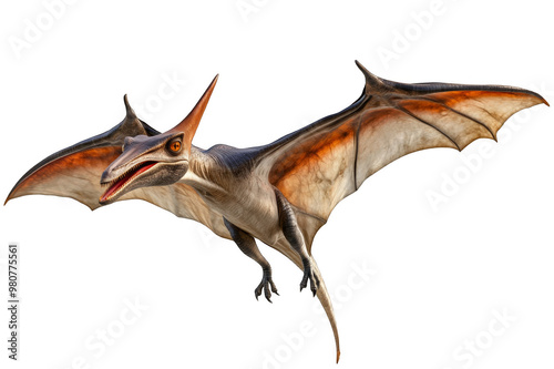 Flying dinosaur pterodactyl on transparent background
