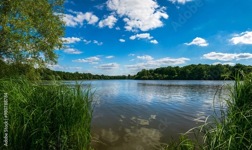 lake in the forest of Rambouillet