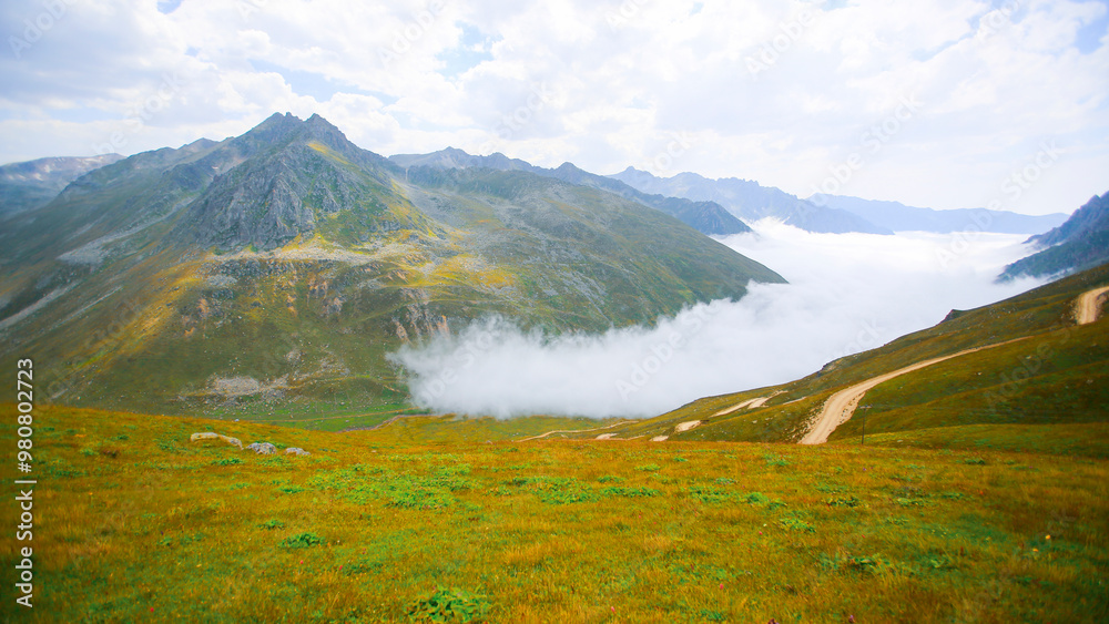 Trovit Plateau is located in the Çamlıhemşin district of Rize. Its altitude is approximately 2,000 meters. Trovit Plateau is located in the Çamlıhemşin district of Rize. Its altitude is approximately 2,000 meters.