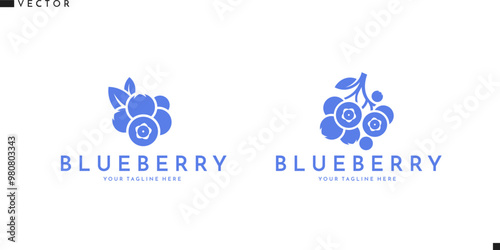 Blueberry logo. Fresh fruit sign