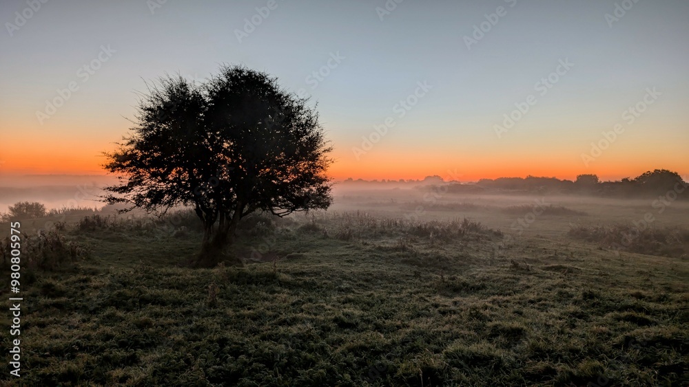 Beautiful sunrise landscape scenery at Clare river, County Galway, Ireland, nature sun background, misty dawn
