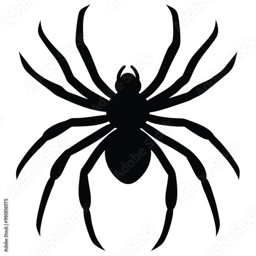 Ada black spider with a white background that says' spider' on itobe Illustrator Artwork