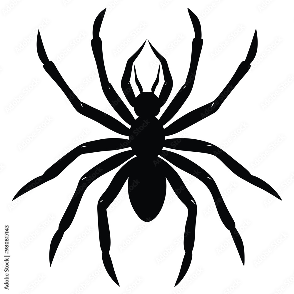 Ada black spider with a white background that says' spider' on itobe Illustrator Artwork Ada black spider with a white background that says' spider' on itobe Illustrator Artwork