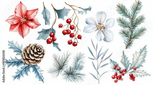 Winter flowers with leaves collection, watercolor elements on white background. Seasonal Christmas design template