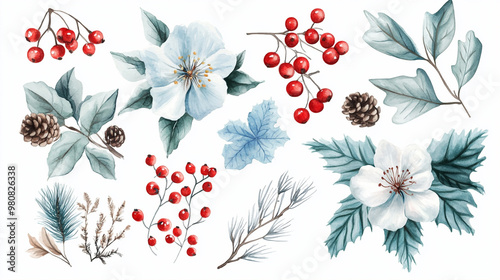 Winter flowers with leaves collection, watercolor elements on white background. Seasonal Christmas design template
