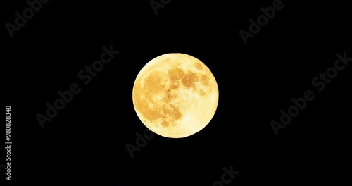 Full harvest  moon in the night
