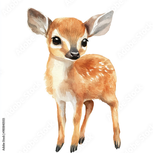 Muntjac watercolor clipart illustration isolated