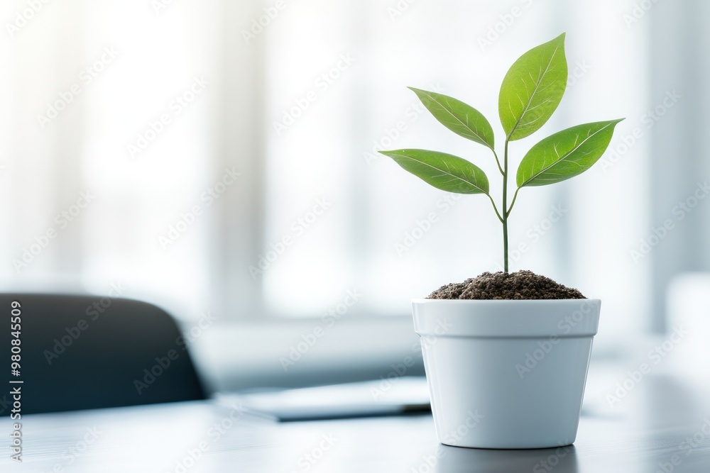 A business presentation highlighting growth potential to venture capital investors in a sleek conference room