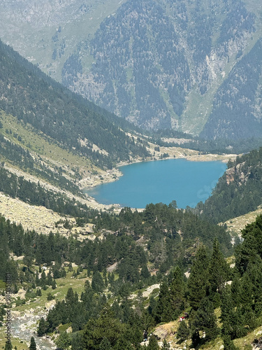 Scenic Mountain Lake Surrounded by Nature