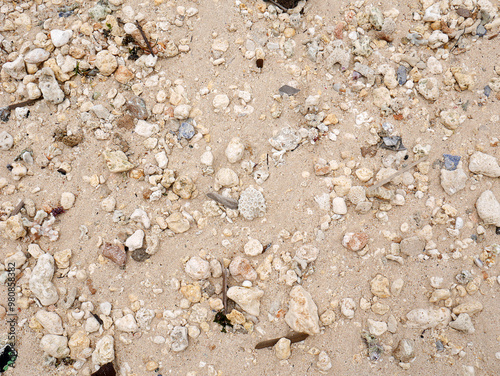 Fresh summer vibes on the sea shore paradise beach photo