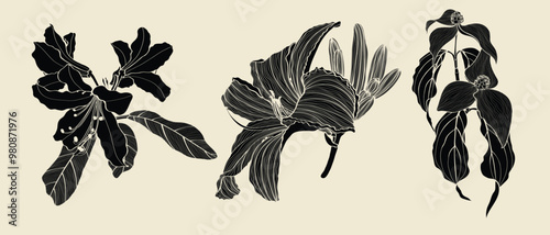Set of Floral Botany Collection. Lily, rhododendron, dogwood flower drawings. Line art on white background. 