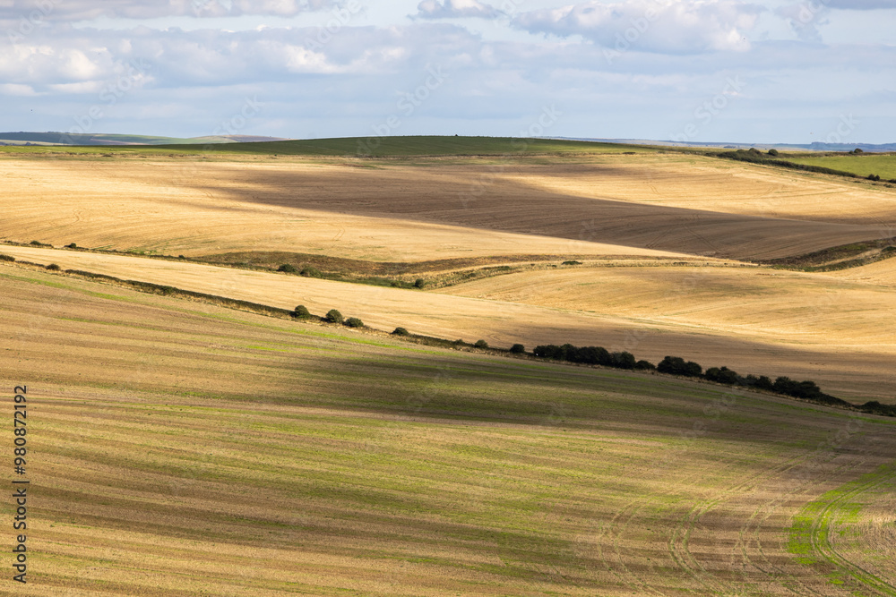 Cloud shadows passing over farmland in Sussex, on a sunny September day Cloud shadows passing over farmland in Sussex, on a sunny September day