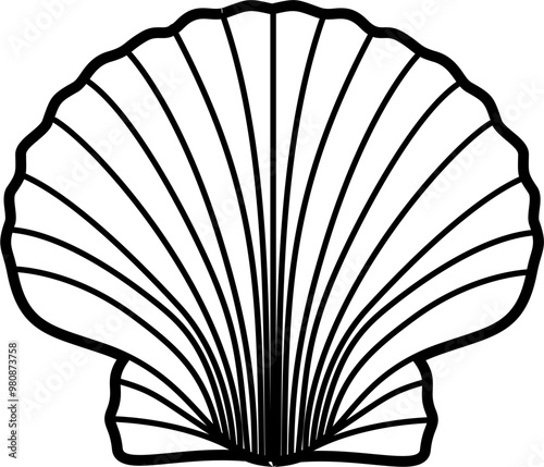 Scallop shell outline illustration vector