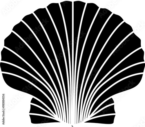 Scallop shell illustration vector